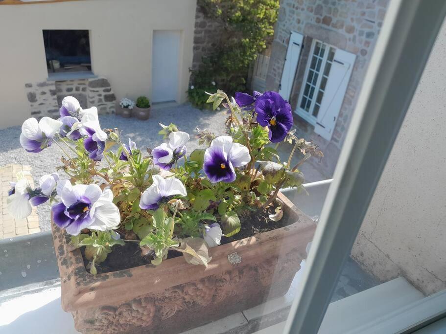 Gite Tante Jeanne Réville Exterior foto